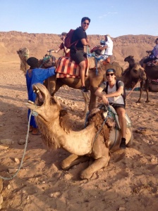 Alex got the cheeky camel